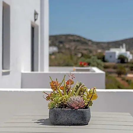 Chrysonisos With Sunset & Seaviews Near Kini